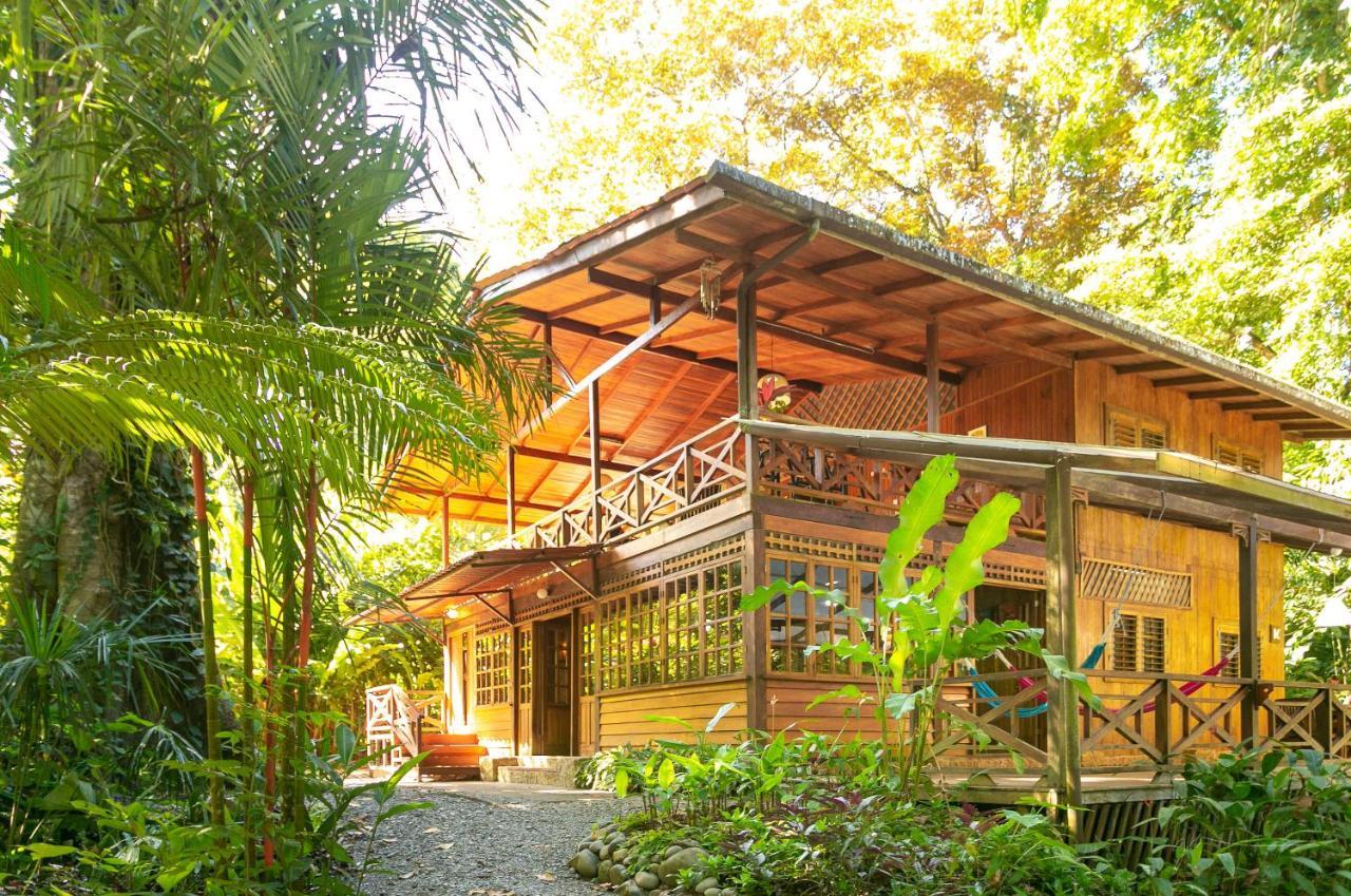 La Kukula Lodge Puerto Viejo de Talamanca Kültér fotó